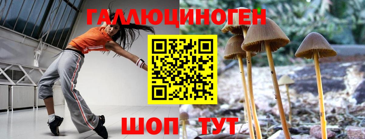Чехов  Галлюциногенные грибы Psilocybine cubensis  Вход с VPN  Галлюциногенные грибы GOLDEN TEACHER 