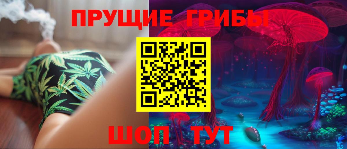 Псилоцибиновые грибы мухоморы Чехов